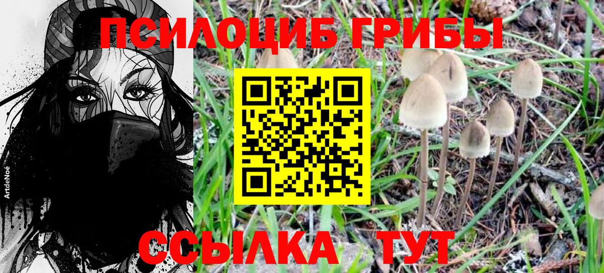 Воткинск  Псилоцибиновые грибы MAGIC MUSHROOMS  Вход с VPN 